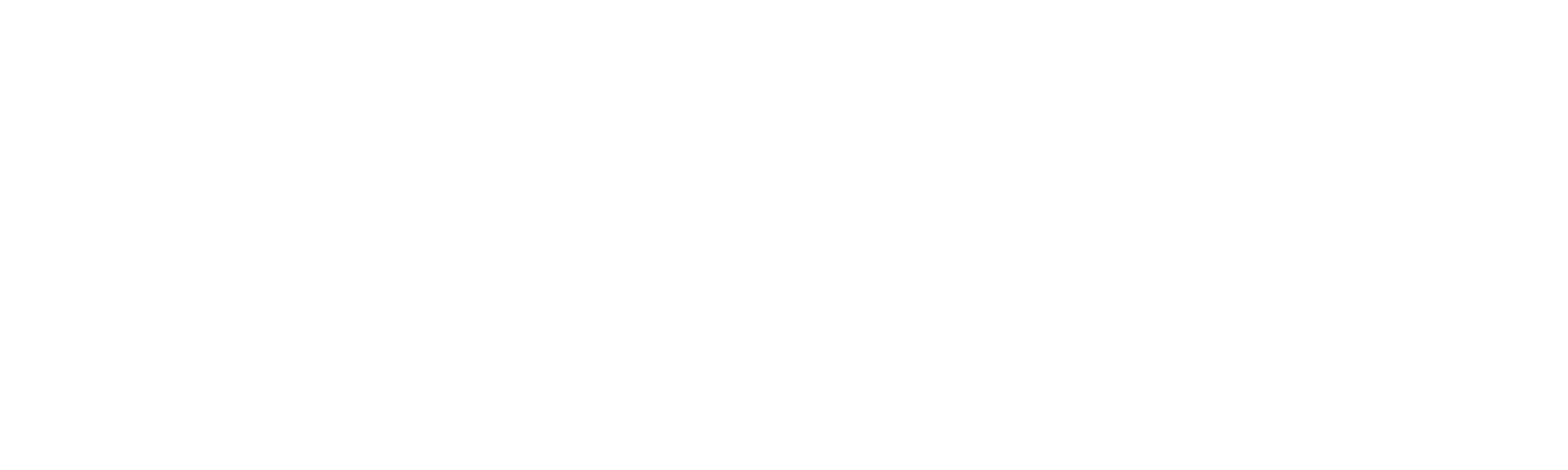 PALEM123